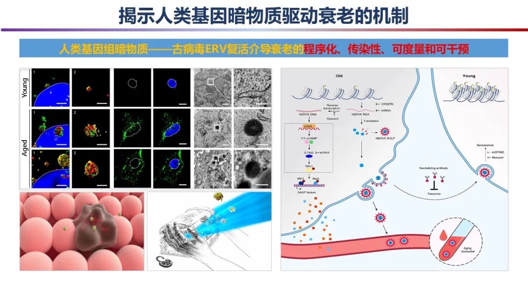 1710471657630974.jpg 微信圖片_20240315105955.jpg